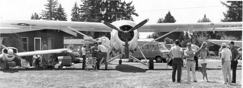 Beaver at Lenhardt